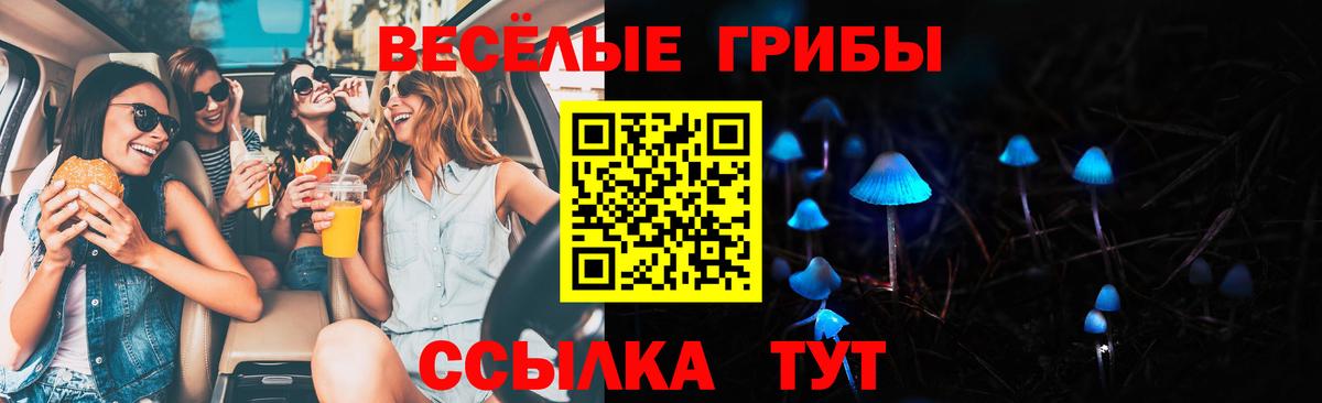 даркнет сайт  Псилоцибиновые грибы мицелий  Вход с VPN  Новоалександровск 